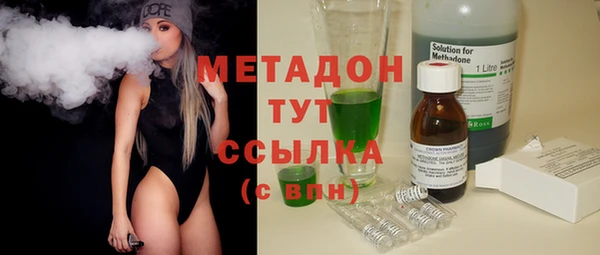 прущие грибы Новозыбков