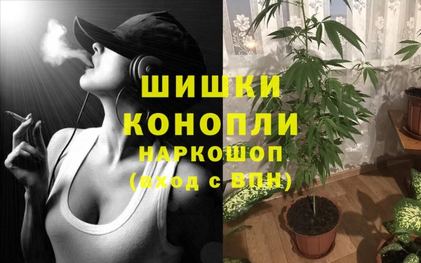 прущие крисы Осташков
