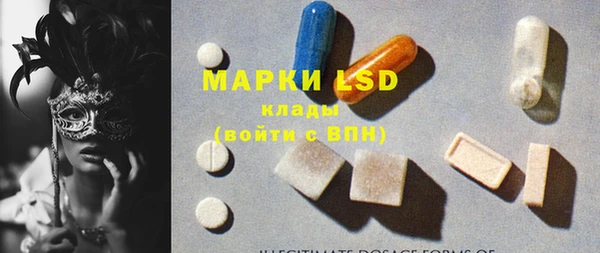 ПСИЛОЦИБИНОВЫЕ ГРИБЫ Кадников