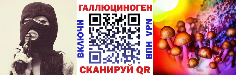 закладки  Кизляр  hydra онион  Псилоцибиновые грибы Magic Shrooms 