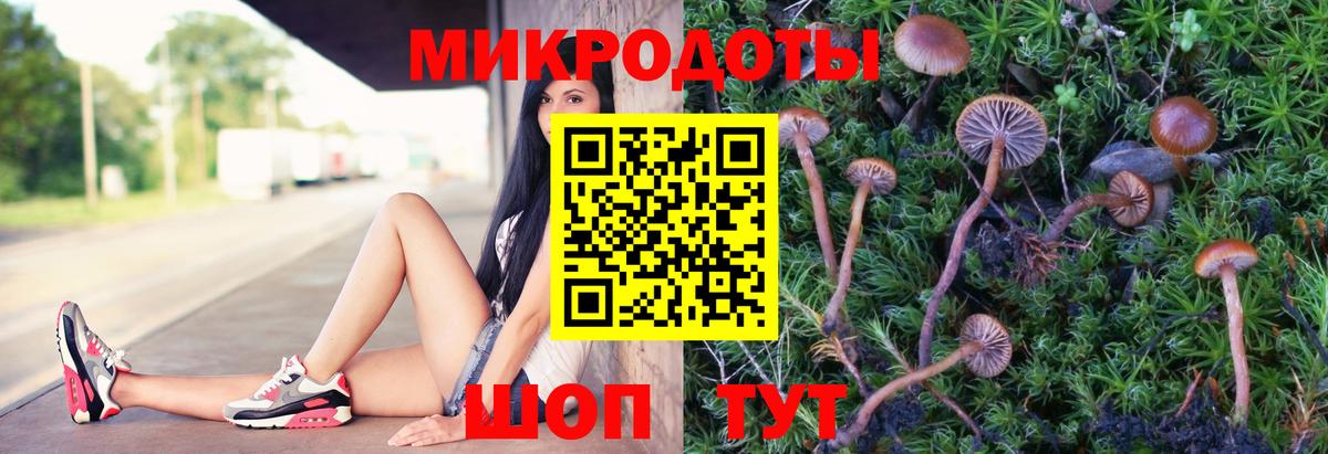 Галлюциногенные грибы Psilocybine cubensis Кизляр