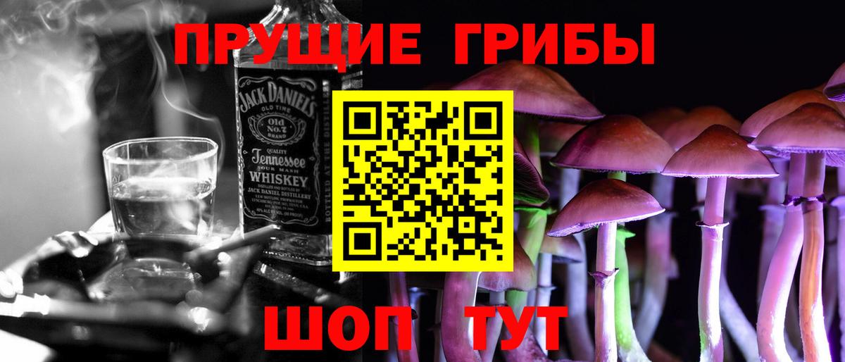 Псилоцибиновые грибы Psilocybe  Вход с VPN  Псилоцибиновые грибы ЛСД  Кизляр 