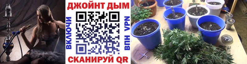 Канабис Ganja  сколько стоит  блэк спрут онион  Кизляр 